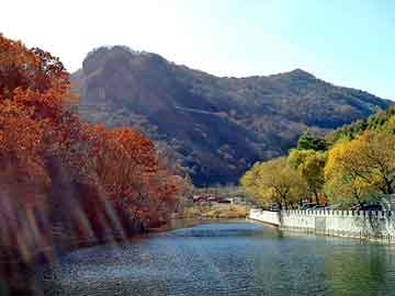 管家婆黑白马报图库，孙守刚 背景